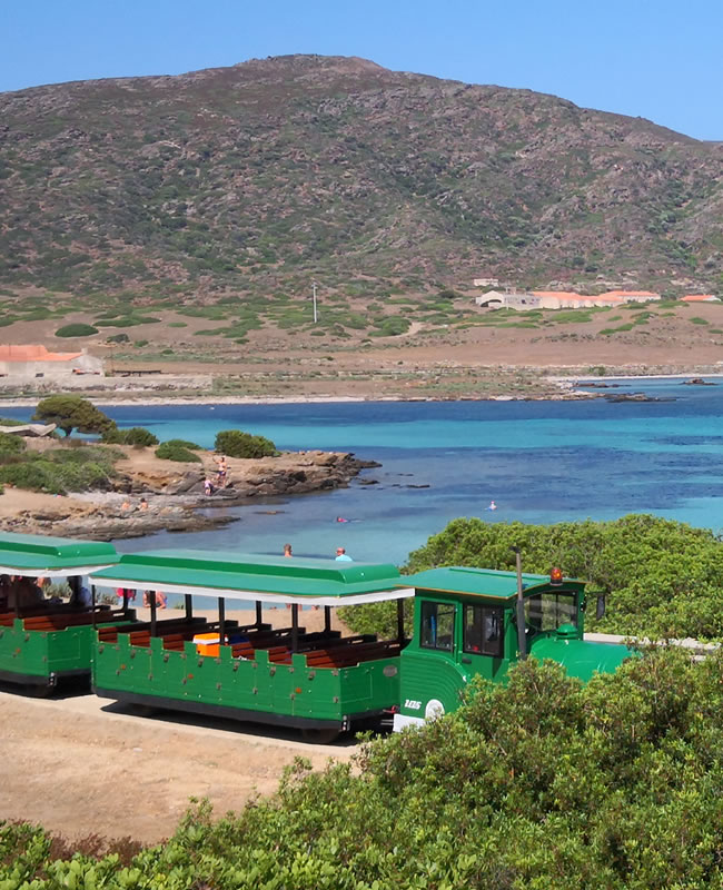 Asinara Erfahrung Avitur