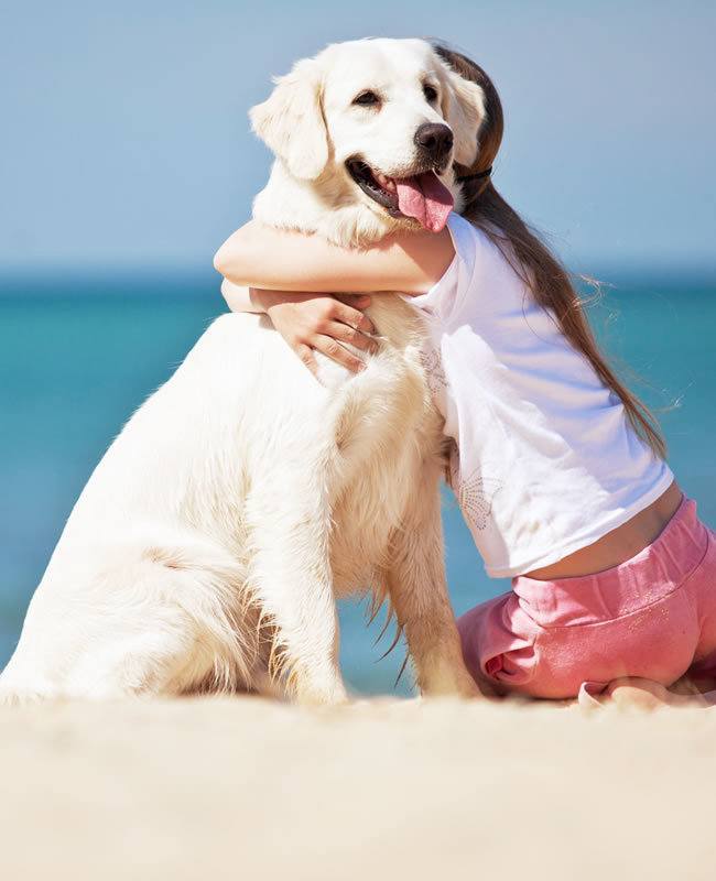 Vacanze Animali Ammessi In Sardegna Avitur Tour Operator