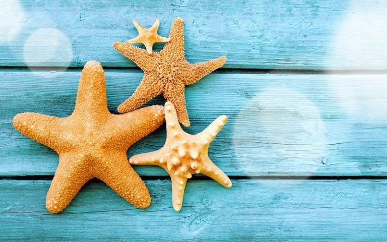 Offerta Partenza 1° Agosto 7 notti in Sardegna